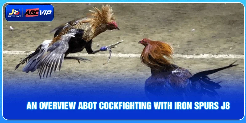 An overview abot Cockfighting with Iron Spurs J8