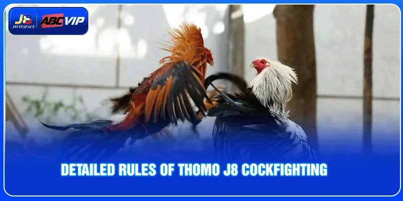 Detailed rules of Thomo J8 Cockfighting