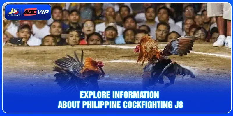 Explore information about Philippine Cockfighting J8