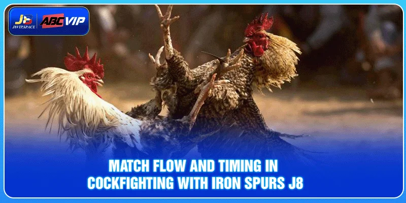 Match flow and timing in Cockfighting with Iron Spurs J8